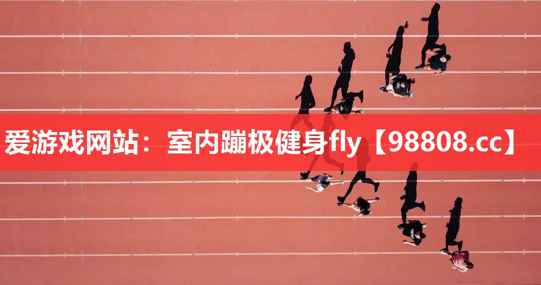 爱游戏网站：室内蹦极健身fly