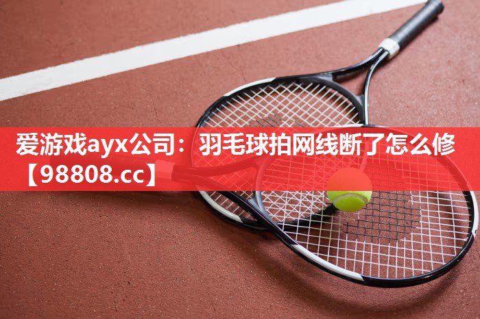 爱游戏ayx公司：羽毛球拍网线断了怎么修