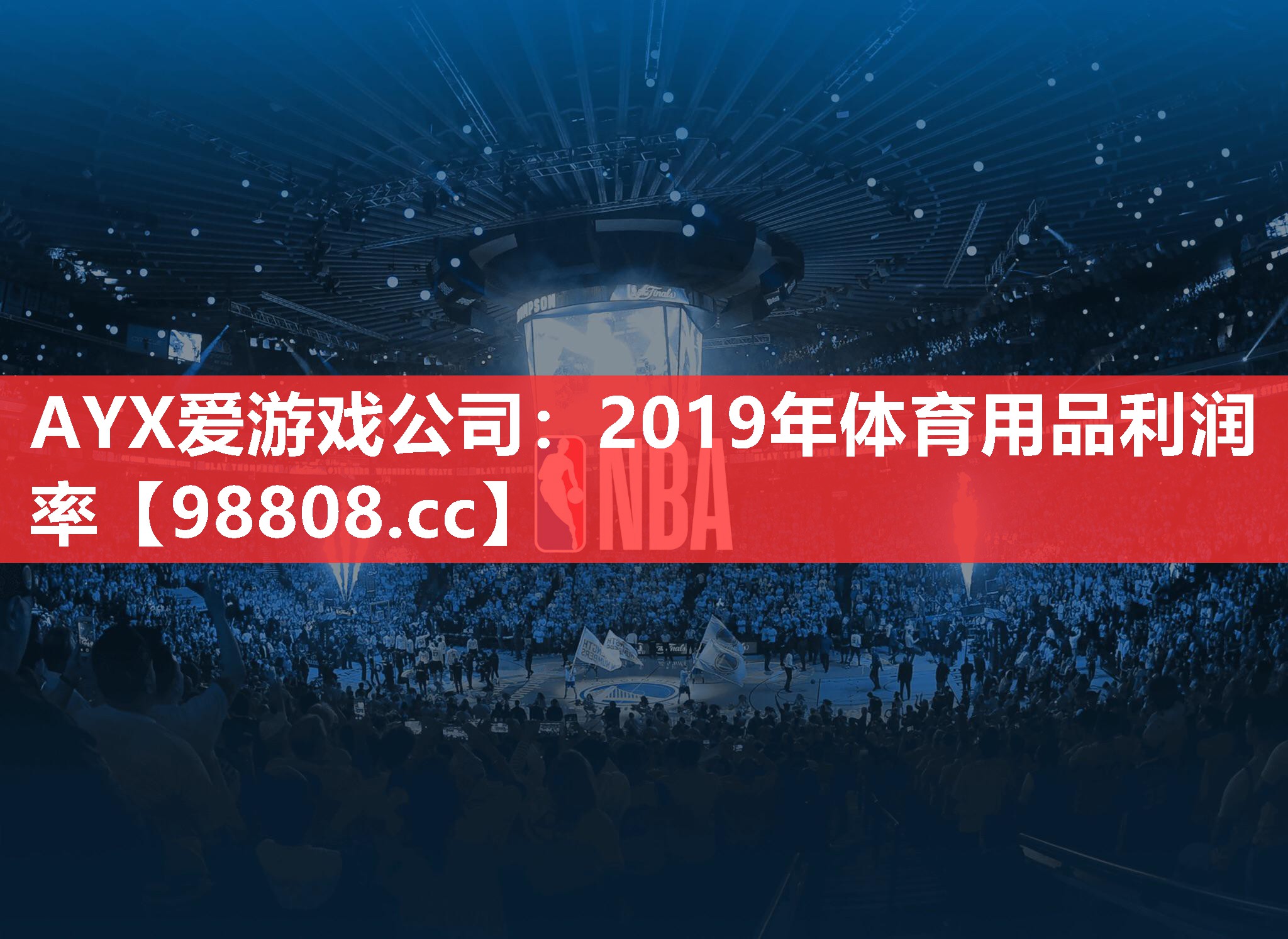 2019年体育用品利润率
